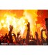 Rookmachine LED Effect DMX 24 x 3W LED beamZ S2000